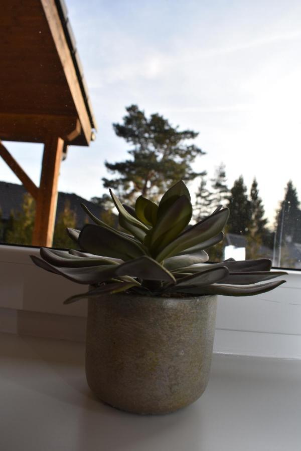 Sunny House Villa Lipno nad Vltavou Ngoại thất bức ảnh